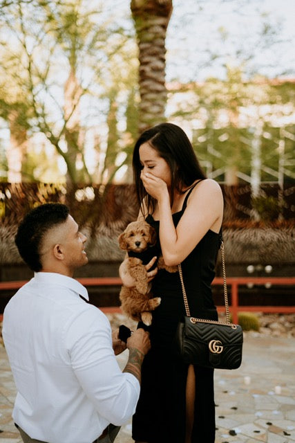 Clear Cut Couples: Alyssa and Justin