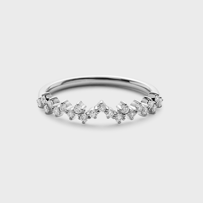 The Cosmic Ring