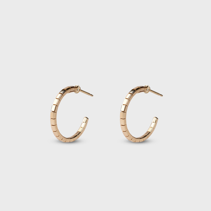 Faceted Hoops