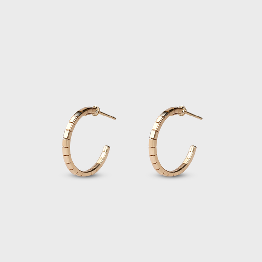 Faceted Hoops