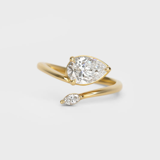 The Nova Ring