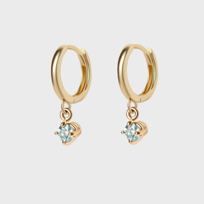 Gemstone Round Charm Hoops