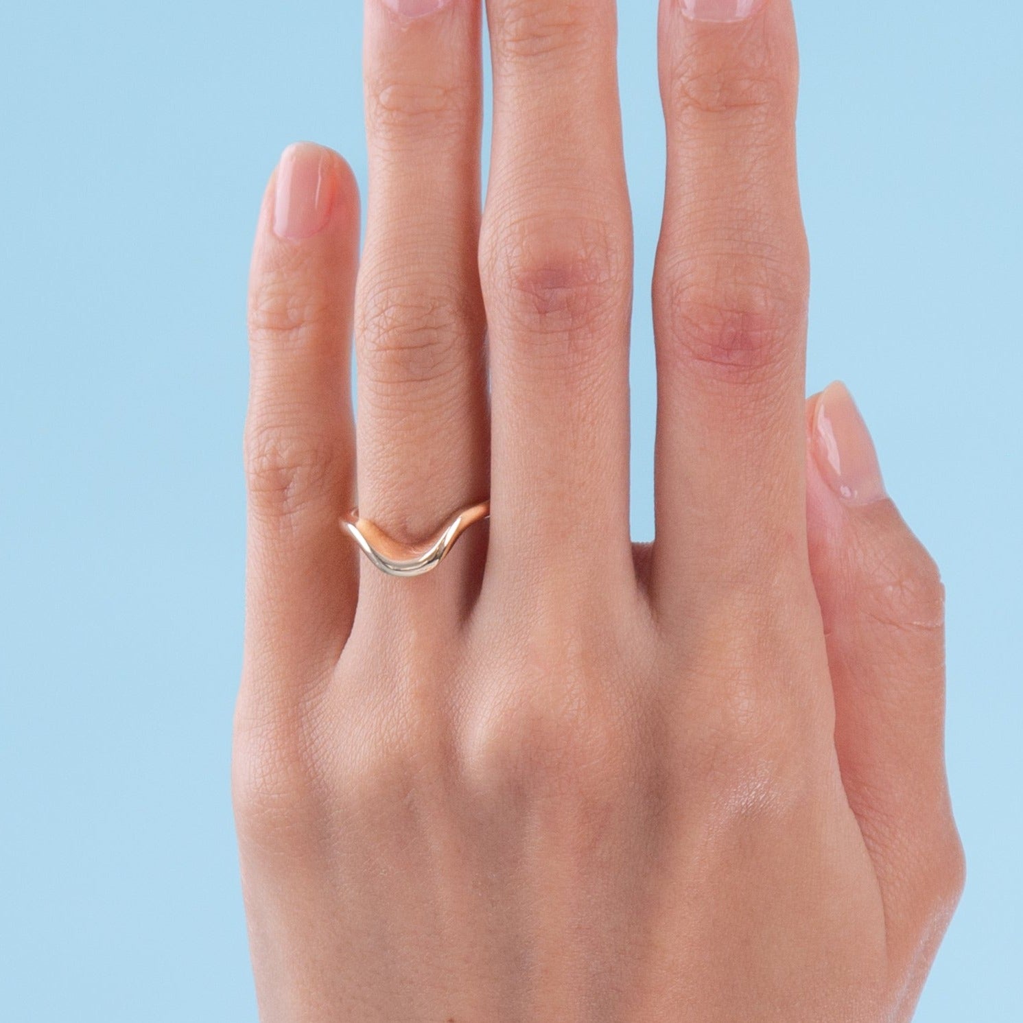 Ahead Of The Curve Band The Clear Cut Collection ahead-of-the-curve-band-the-clear-cut-collection